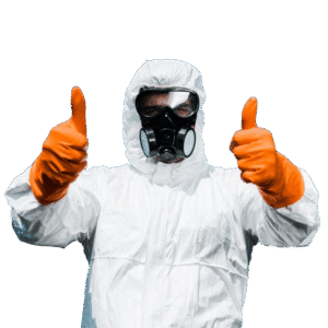 Home | Fumigadores Industriales y Comerciales 8 img 2 e1785616050435