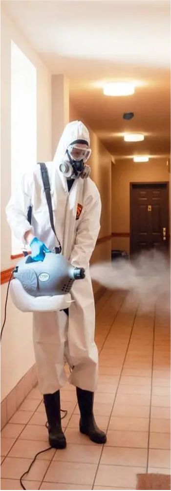 covid-desinfeccion puerto rico2