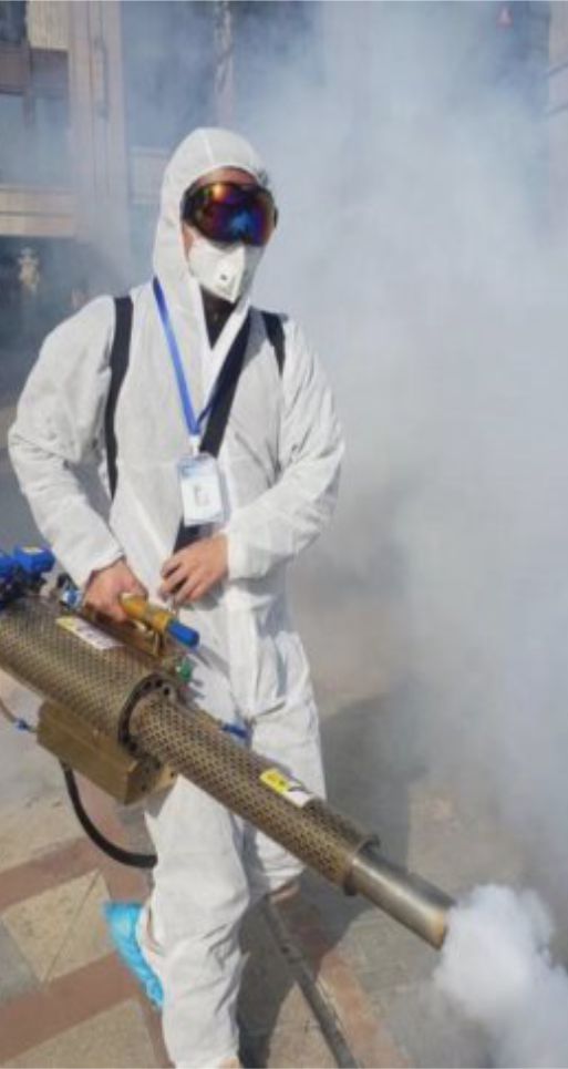 Fumigación de Jardines - Plagas PR