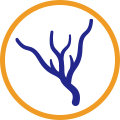 icon1