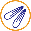 icon2