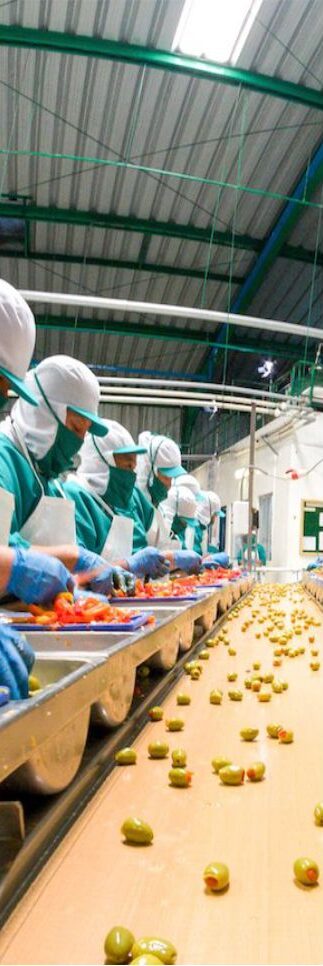 Fumigadores Industriales en el sector alimentaria puerto rico