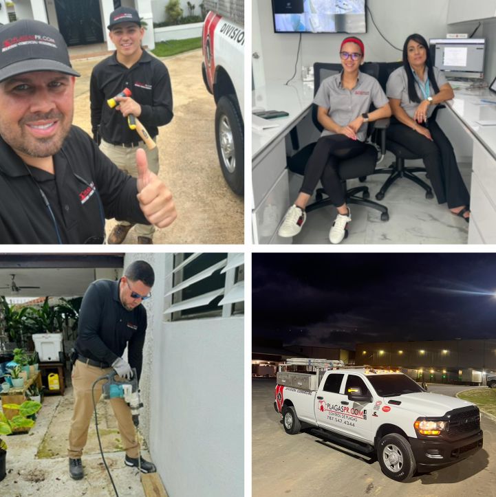 Home | Fumigadores Industriales y Comerciales 10 plagas pr especialistas en comejen pr