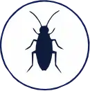 cucaracha icon