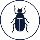 escarabajo icon