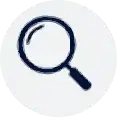inspeccion icon gray