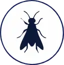 mosca icon
