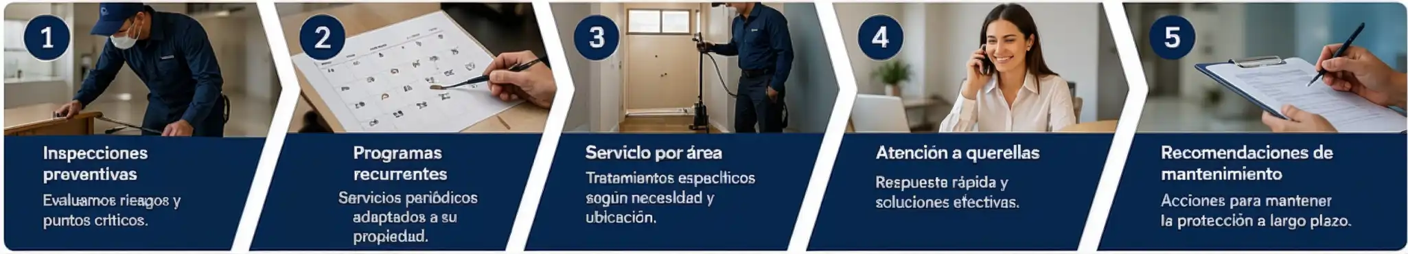 pasos