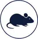 roedor icon