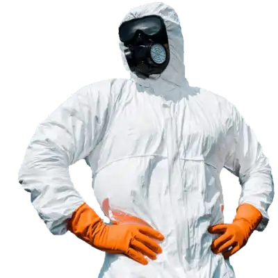 Home | Fumigadores Industriales y Comerciales 1 remocion y fumigacion de plagas 01