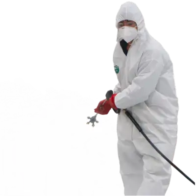 Home | Fumigadores Industriales y Comerciales 3 remocion y fumigacion de plagas 03